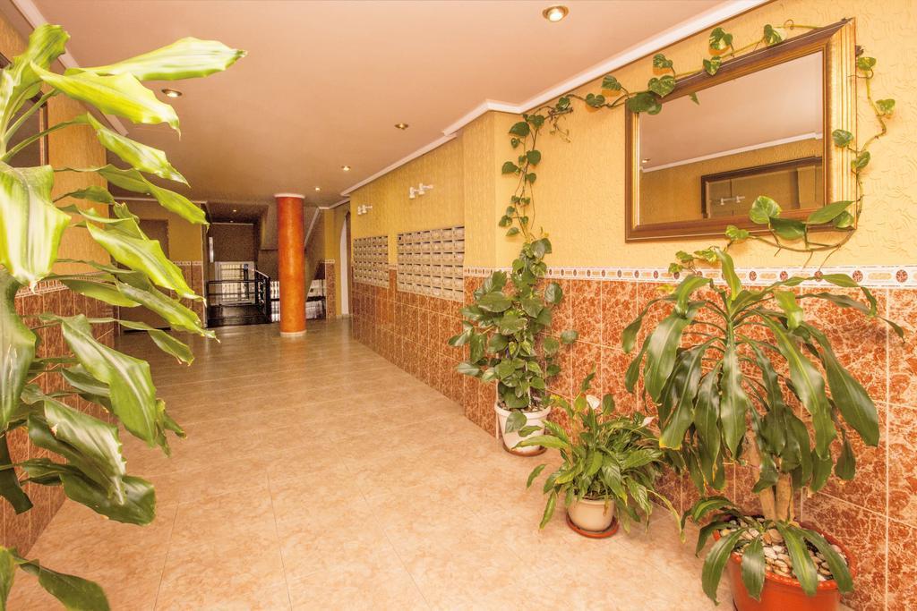 Apartamento Felix De La Fuente Torrevieja Eksteriør billede