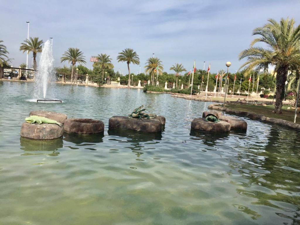Apartamento Felix De La Fuente Torrevieja Eksteriør billede